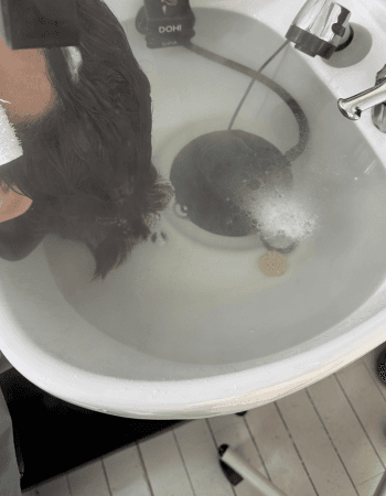 Anti Dandruff Treatment by Elora PMU